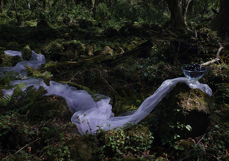 박영숙, <그림자의 눈물 1>, 2019, C-Print, 180x240cm.