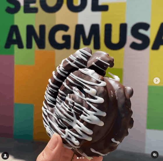 이미지 출처: 서울 앵무새 인스타그램(@seoul_angmusae)