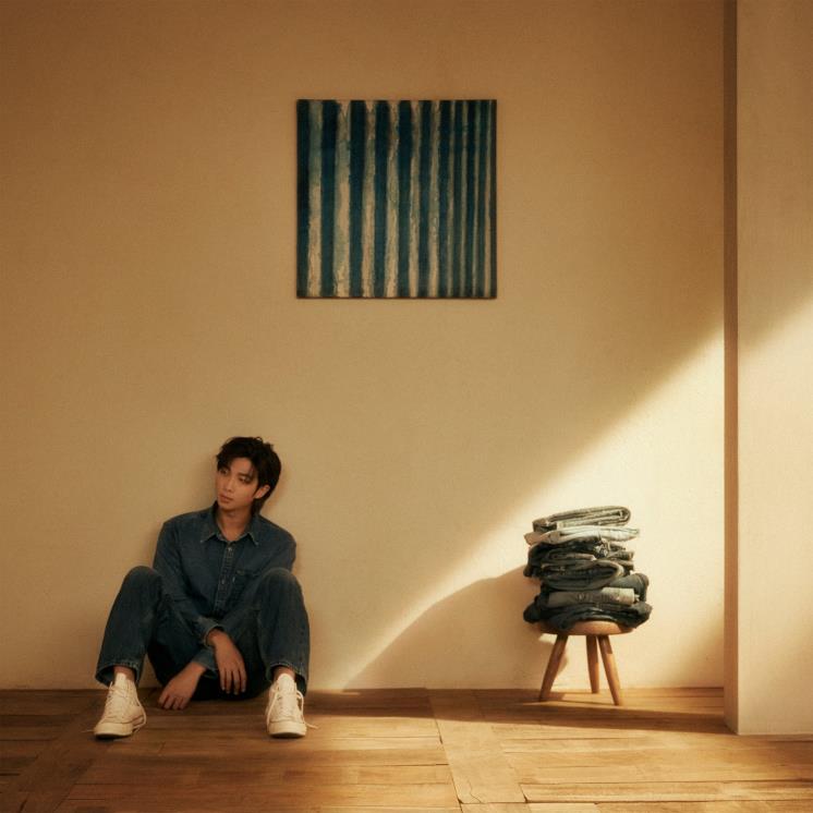 사진 RM의 <Indigo> 앨범 재킷 사진, RM 브이로그 영상 캡처