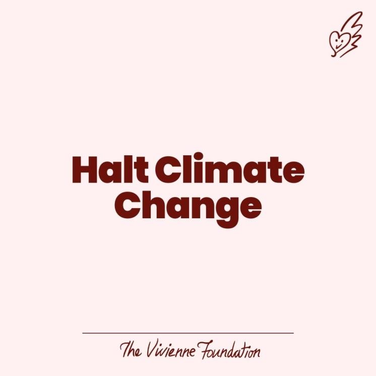 @theviviennefoundation
