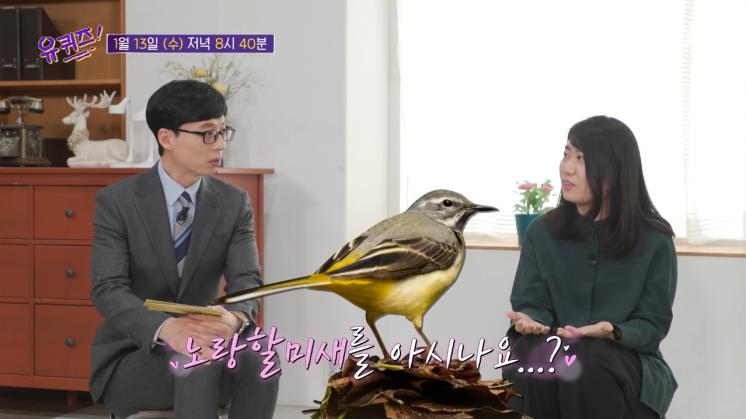 사진 / 버드 워칭을 즐기는 작가 정세랑과 배우 김태리