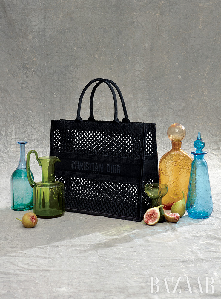 메시 엠브로이더리 ‘북 토트’ 백은 Dior.