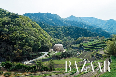 왕원치(Wang Wen Chih), ‘올리브의 꿈’, 2016, Photo: Yasushi Ichikawa