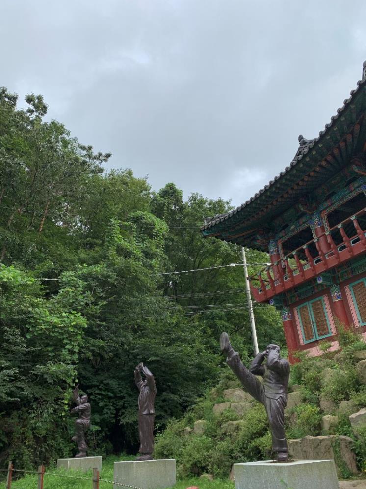 절 입구에 늘어선 선무도 동상
