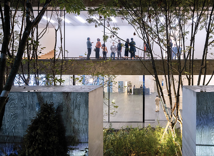 © Iwan Baan © Herzog & de Meuron