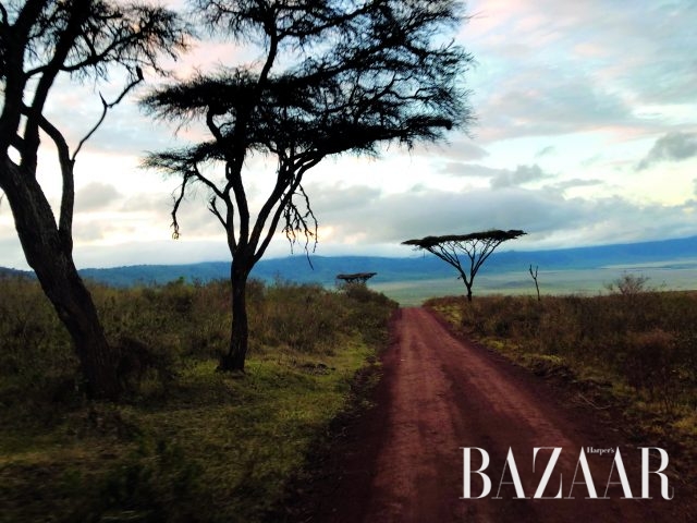 세렝게티 국립공원으로 향하는 길.