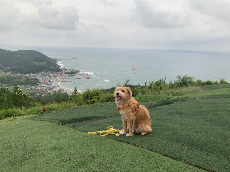 곤륜산 활공장