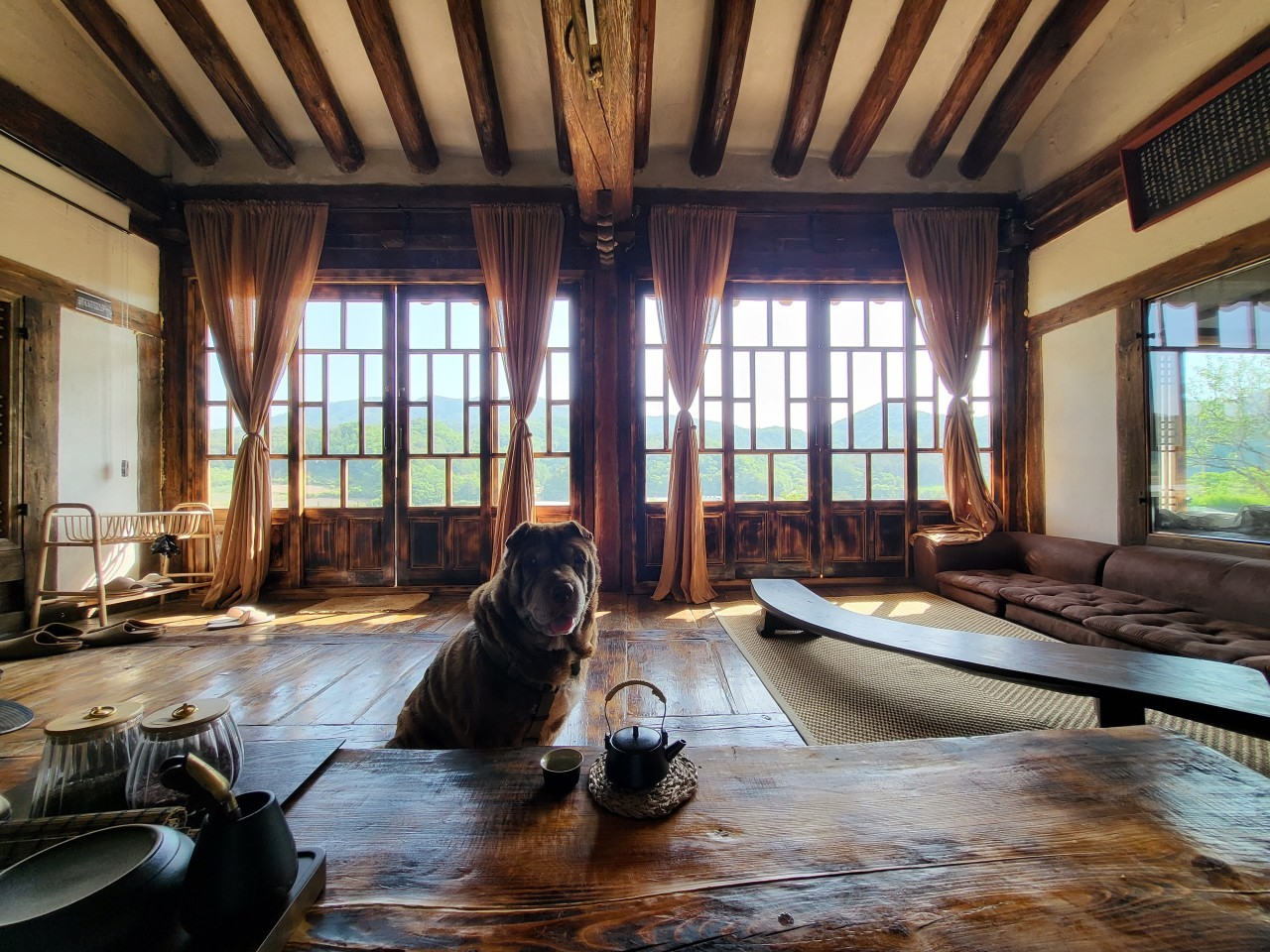 사진/ 스테이영양 SNS