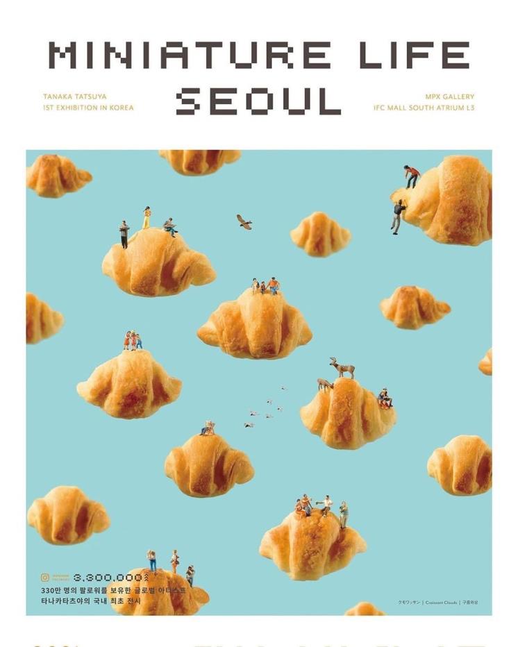 사진 MPX 갤러리
