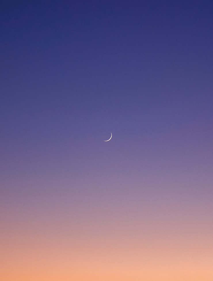 <New Moon>, Los Angele, 2021.