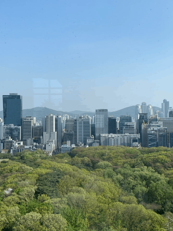 티컬렉티브 삼성