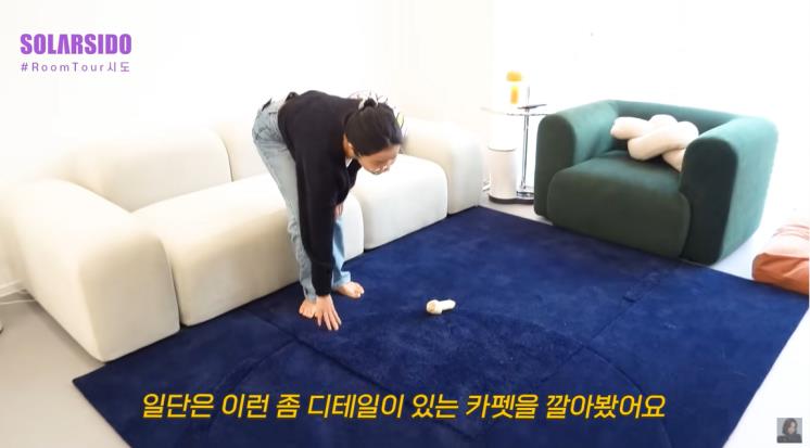 쇼파, 러그 모두 잭슨 카멜레온.