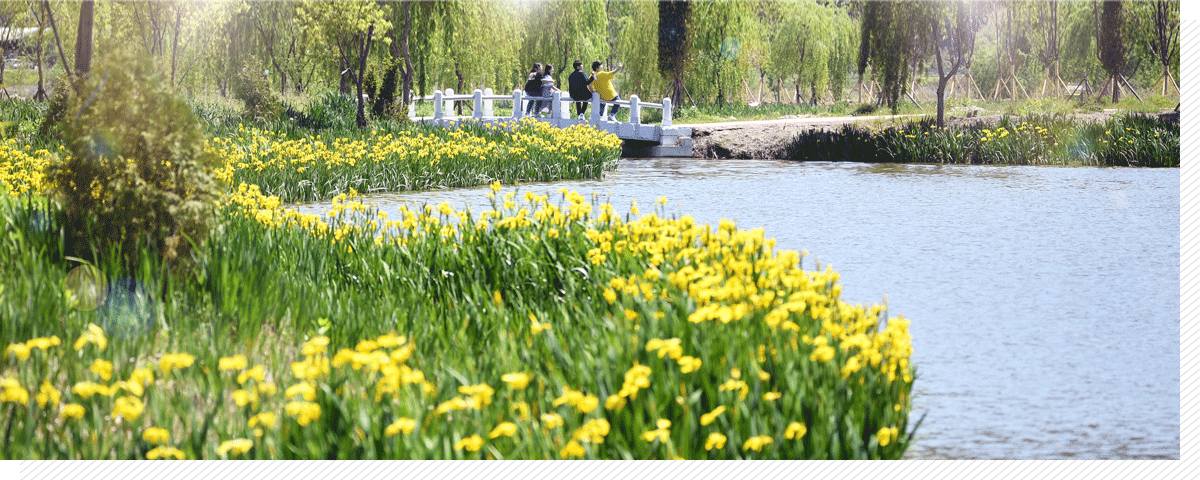 수변생태 정원, 사진/ 거창군 홈페이지