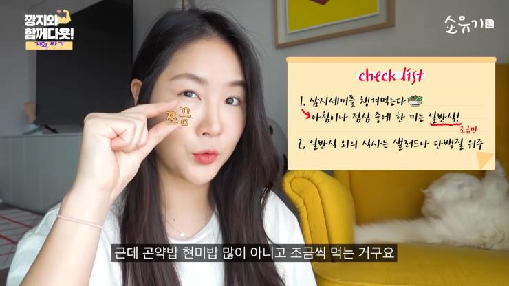 @YouTube 소유기