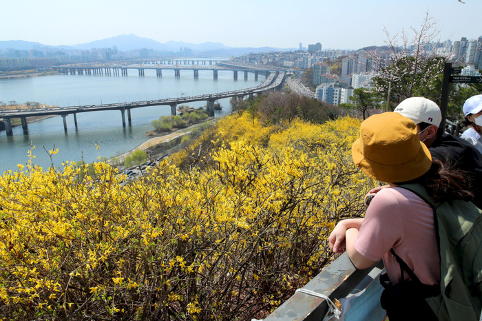 응봉산 팔각정에서 바라본 서울