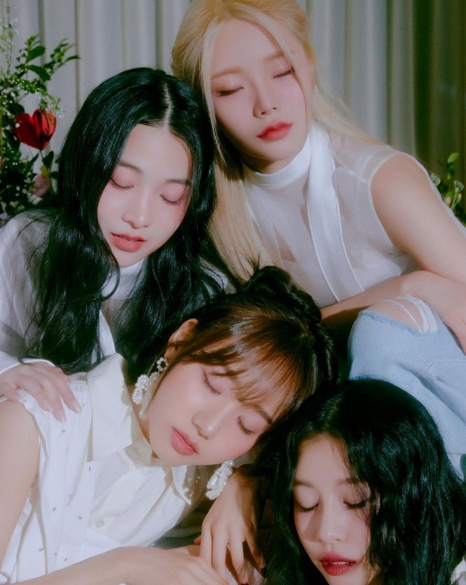 사진 / 어트랙트