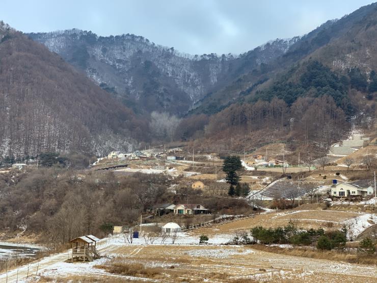 진화중인 냇강마을의 전경