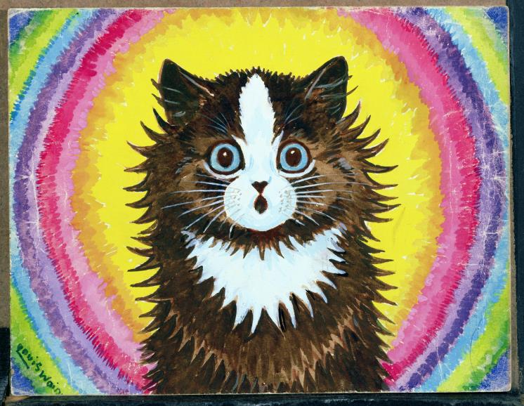 cat in rainbow