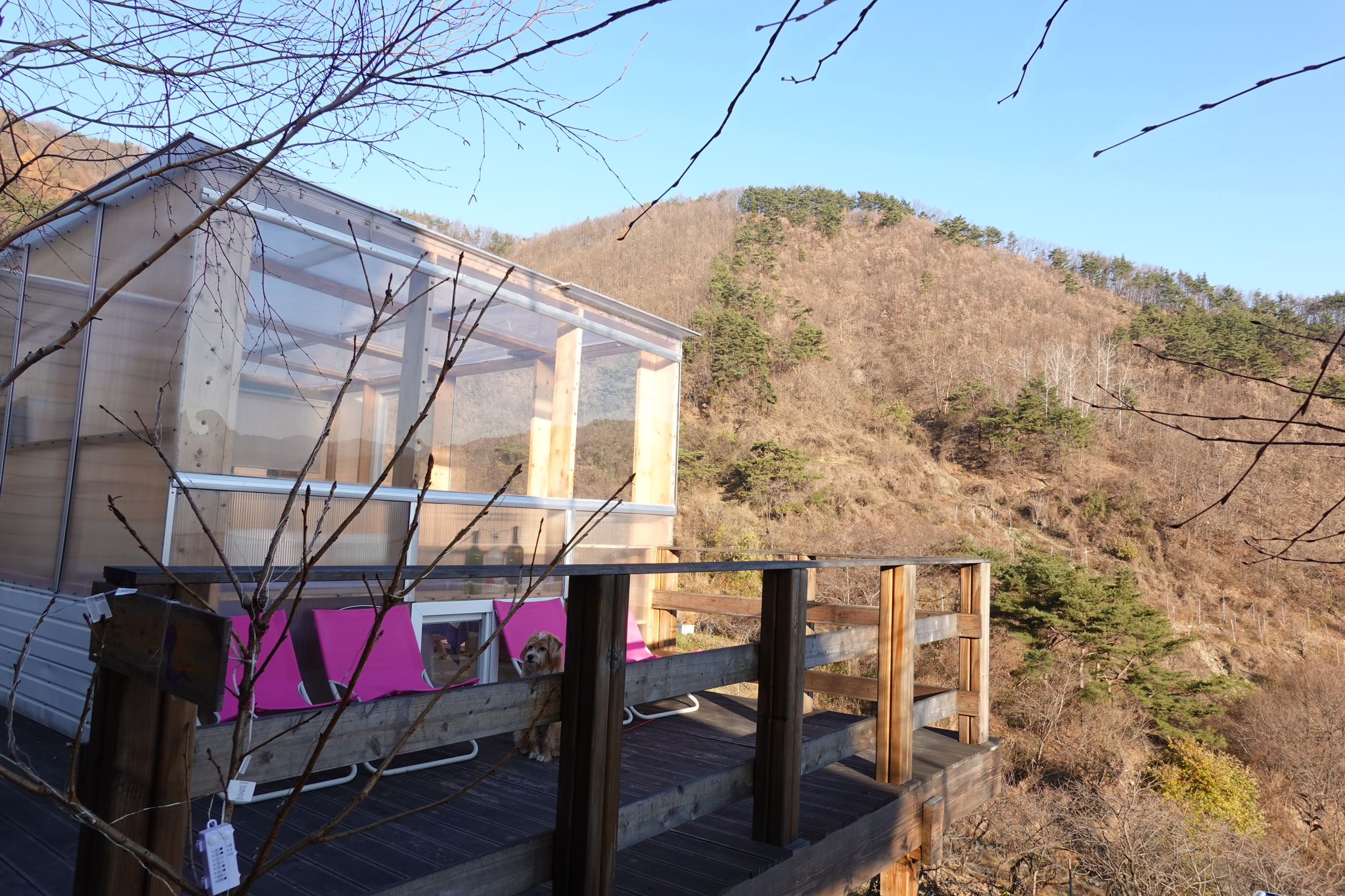 밤에는 별과 달빛이 쏟아지는 소일뜨락