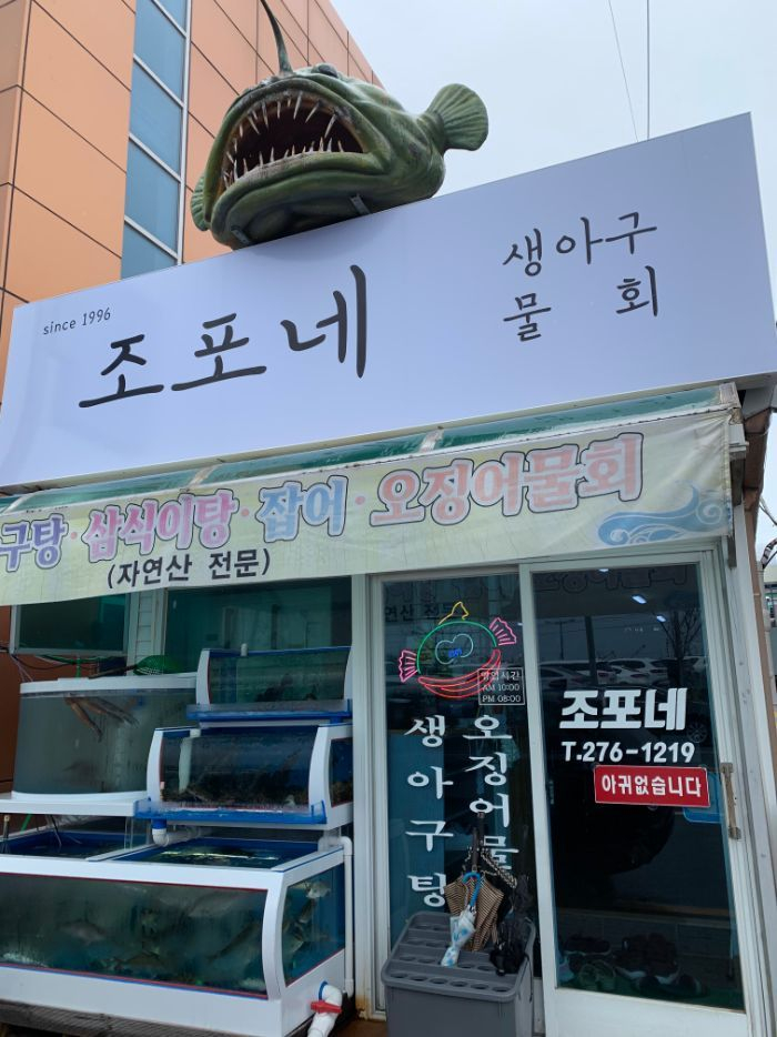 구룡포 조포네생아구