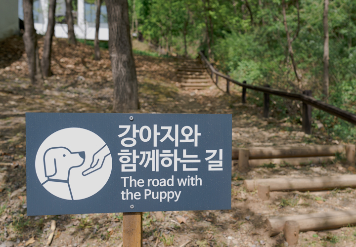 사진 ⓒ 힐리언스 선마을