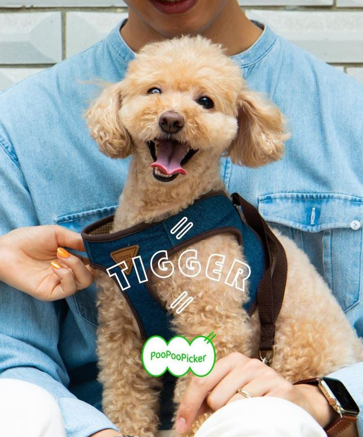 아모레퍼시픽에서 론칭한 푸푸몬스터