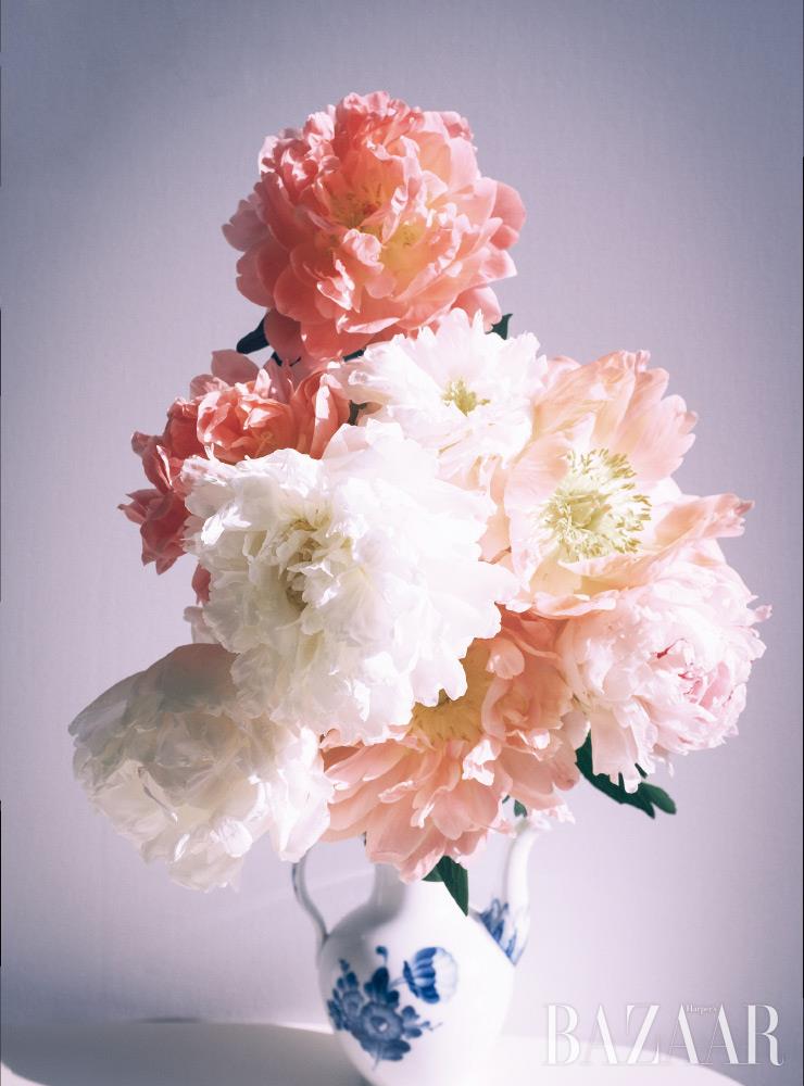 Jang Woo Chul, <Flowers, Well-Tempered #07>, 2019.