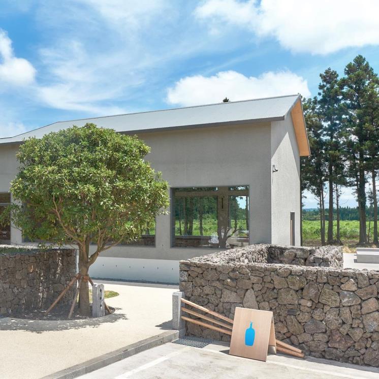 블루보틀 제주