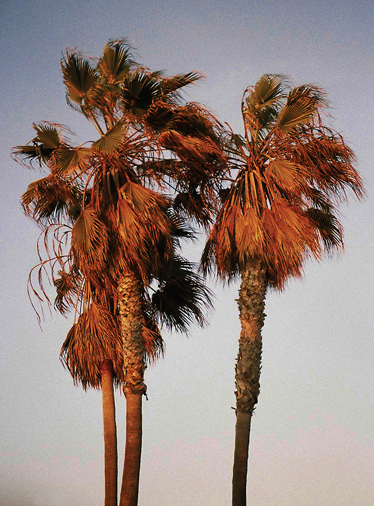  김재훈, <Venice Beach>, 2015.