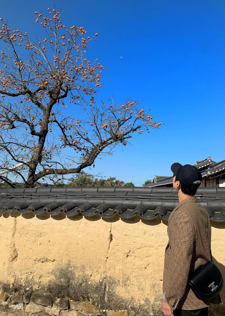 사진/ @bogummy