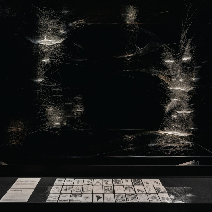 ‘Spider/Web Pavilion 7: Oracle Readings, Weaving Arachnomancy, Synanthropic Futures: At-ten(t)sion to invertebrate rights!’, 2019 Installation view at the 58th International Art Exhibition - La Biennale di Venezia. Courtesy the artist; Andersen's, Copenhagen; Ruth Benzacar, Buenos Aires; Tanya Bonakdar Gallery, New York/Los Angeles; Pinksummer Contemporary Art, Genoa; Esther Schipper, Berlin. With thanks to Arachnophilia. © Photography by Studio Toma´s Saraceno, 2019