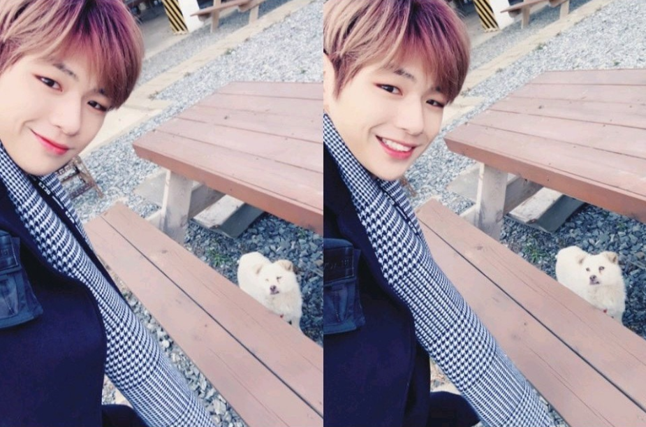 (옆으로 넘기세요)