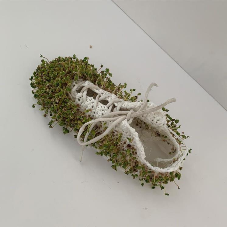 사진/ @stellaaharrylee