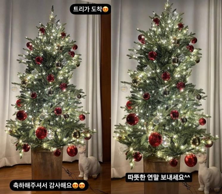 사진 / 손담비, 이규혁 인스타그램 캡처