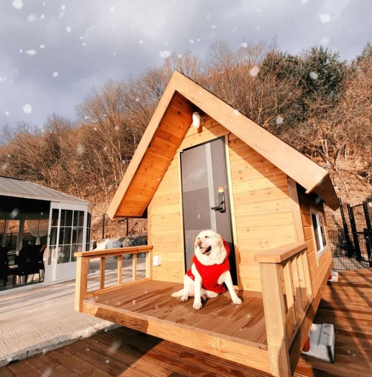 사진/ 위드제이펜션 SNS