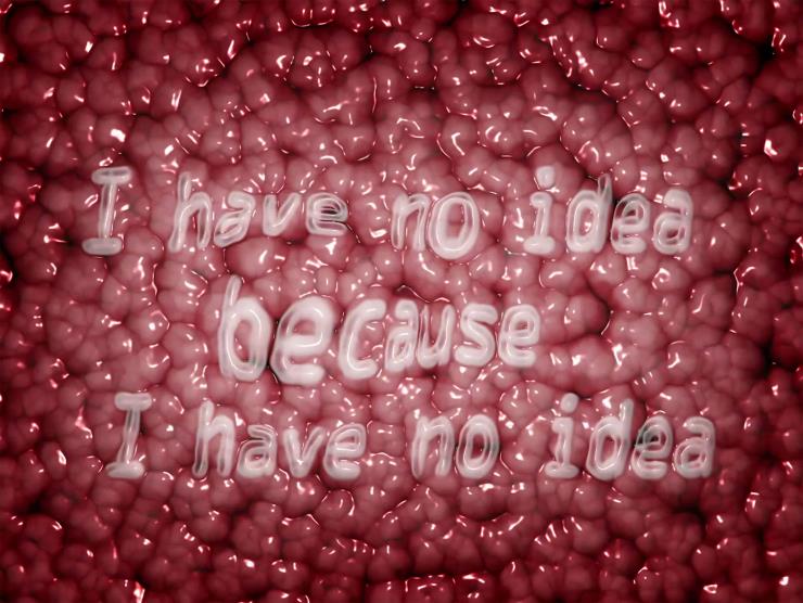 인세인 박, I have no idea, because I have no idea(나는 아무 생각이 없다, 왜냐하면 아무 생각이 없기 때문이다), 2020, 싱글 채널 비디오, 사운드, 25초 ⓒInsane Park and Arario Gallery