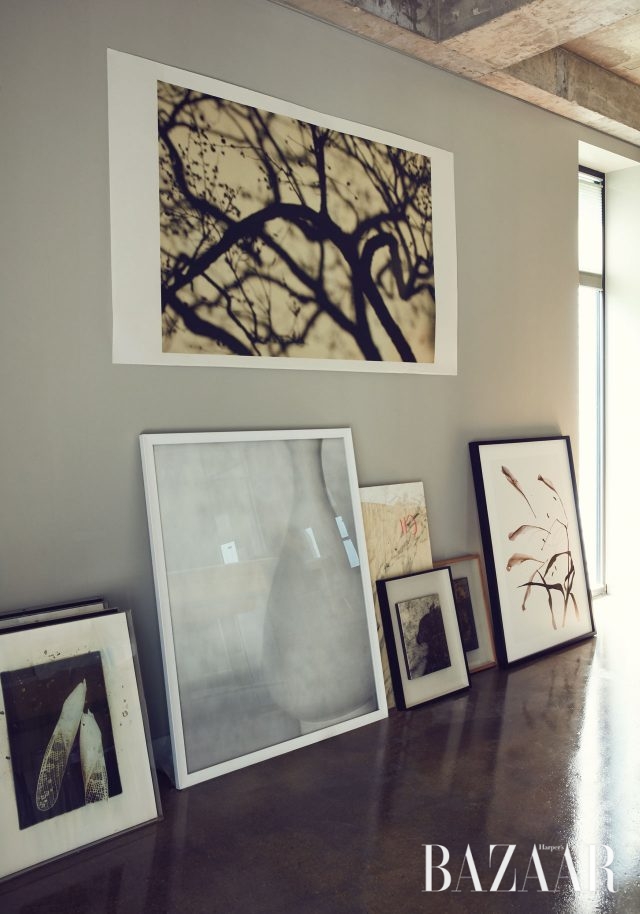 Artist 구본창 작가의 사진에 담긴, 조용하지만 강인한 생명력의 아름다움.