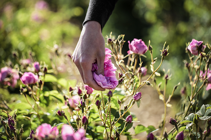 &copy;POL BARIL for CHRISTIAN DIOR PARFUMS