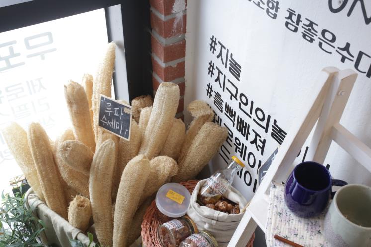 지구인의 놀이터