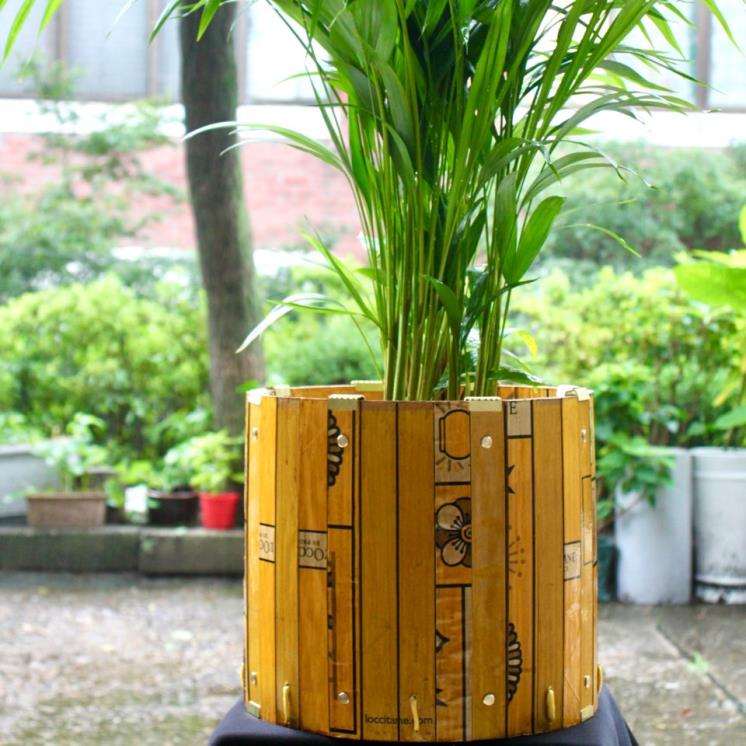 식물을 담은 종이 화분.