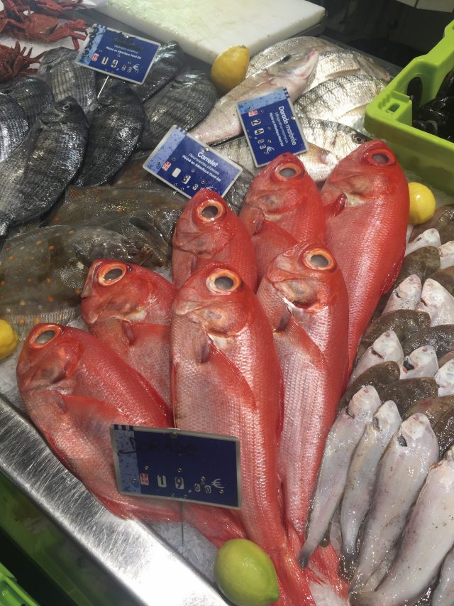 신선한 자연의 맛이 가득한 생선들.