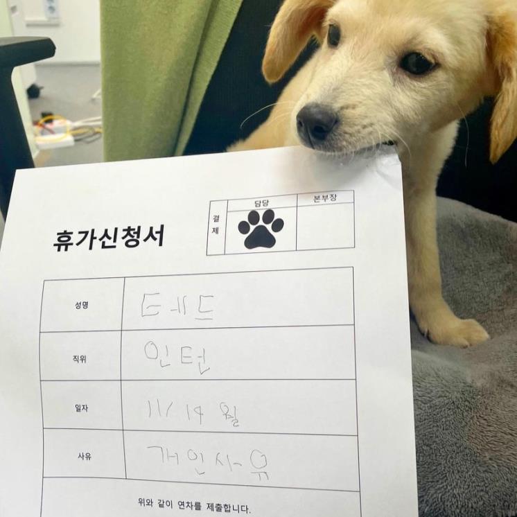 출처 : 테드 인스타그램 (@dear_tedtheteddy) 캡처