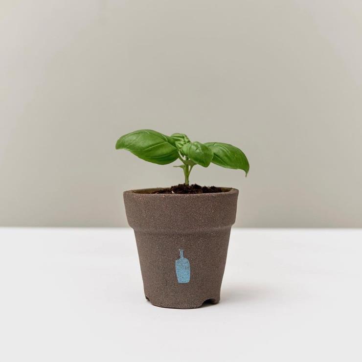 @bluebottlecoffee_korea