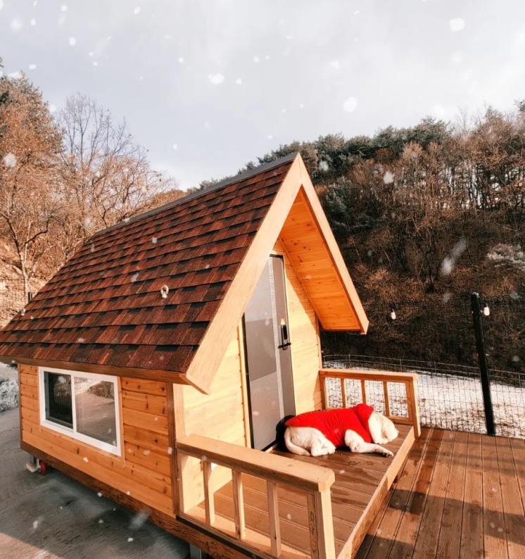 사진/ 위드제이펜션 SNS