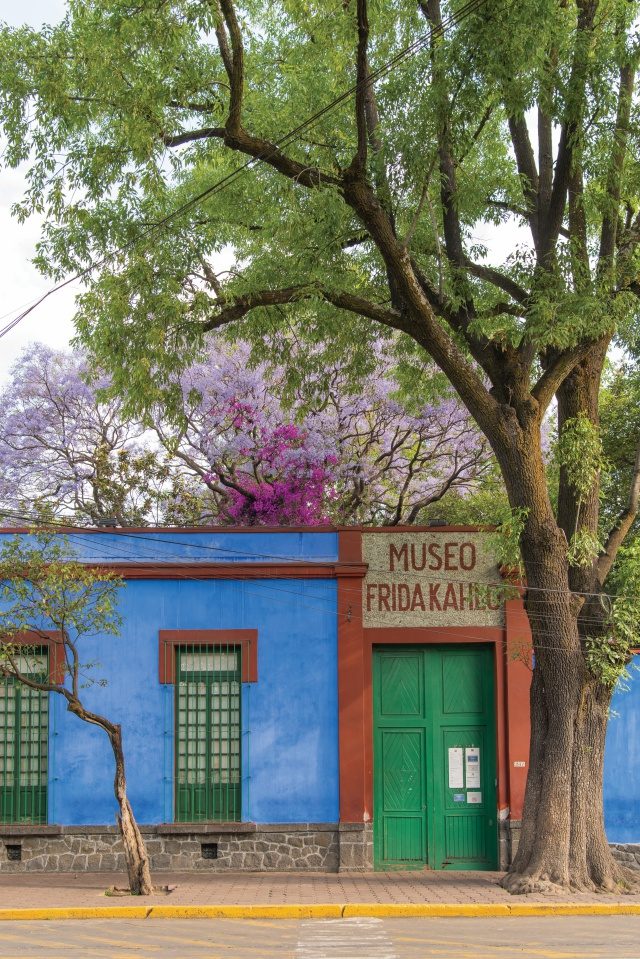 블루 하우스 외부 전경.