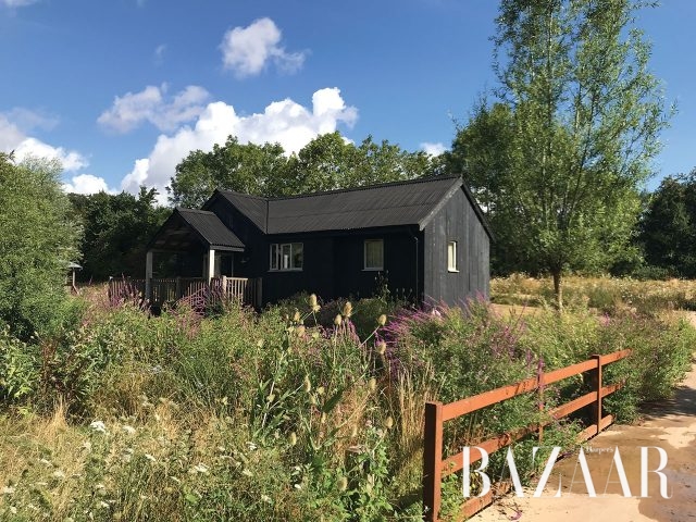 내가 묵었던 오두막. 개천 옆이라 물 소리가 들렸고, 들꽃이 아름답게 피어 있었다.