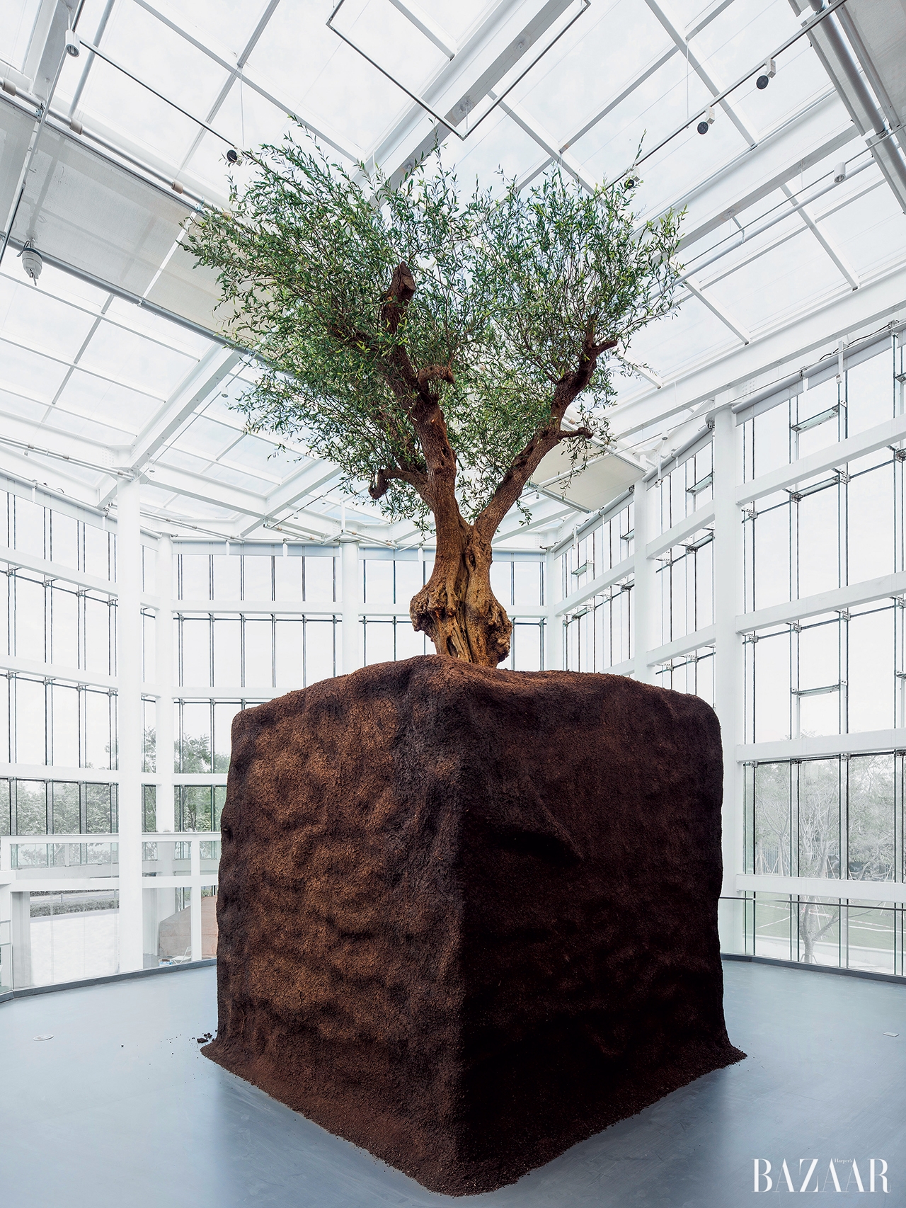 유즈 뮤지엄의 로비를 장식한 마우리치오 카텔란의 나무