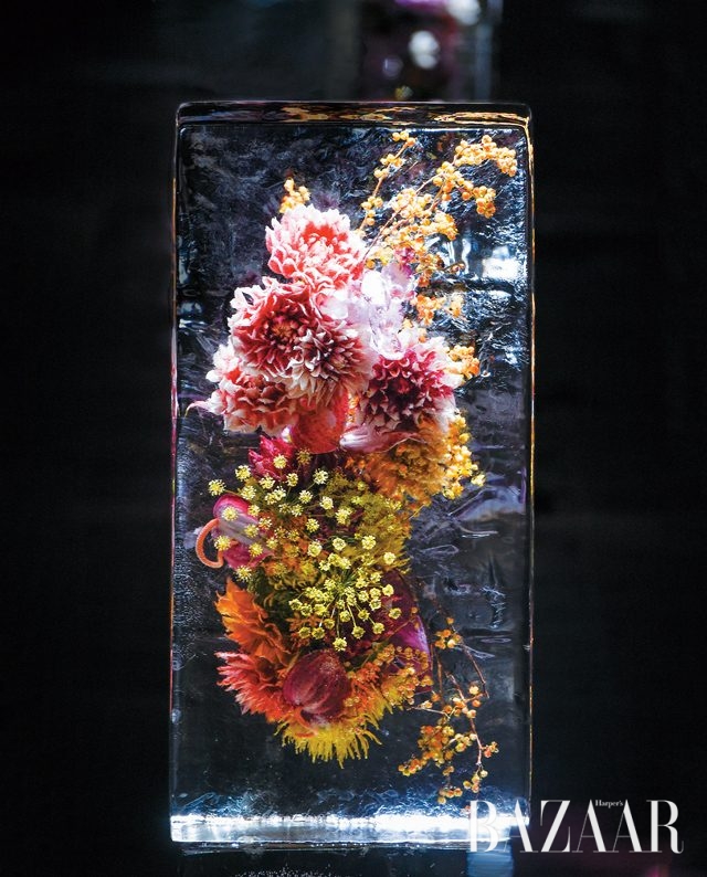 2017년, 17개의 패션뉴스 - 하퍼스 바자 Harper's BAZAAR Korea 2017년 1월호