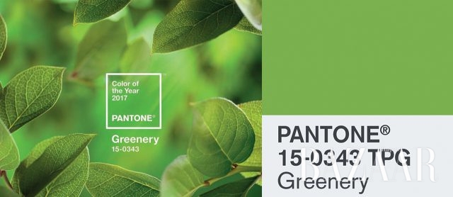 2017년, 17개의 패션뉴스 - 하퍼스 바자 Harper's BAZAAR Korea 2017년 1월호