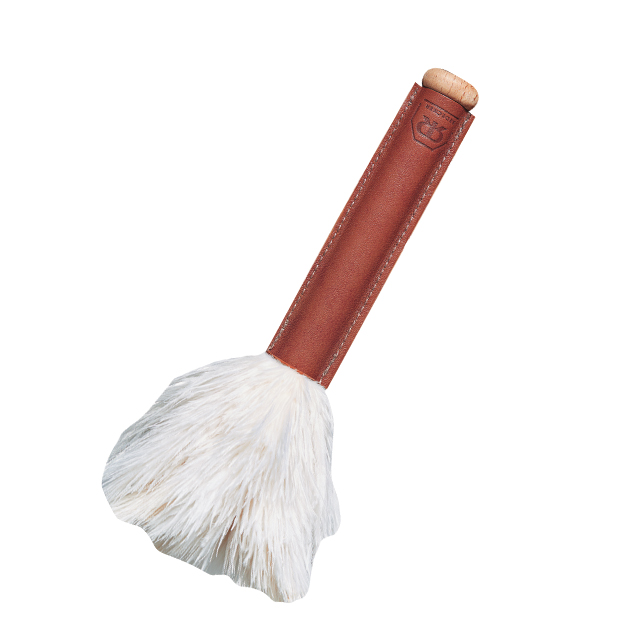 매일 아침 드라이 브러시로 하루를 시작하는 빅투아